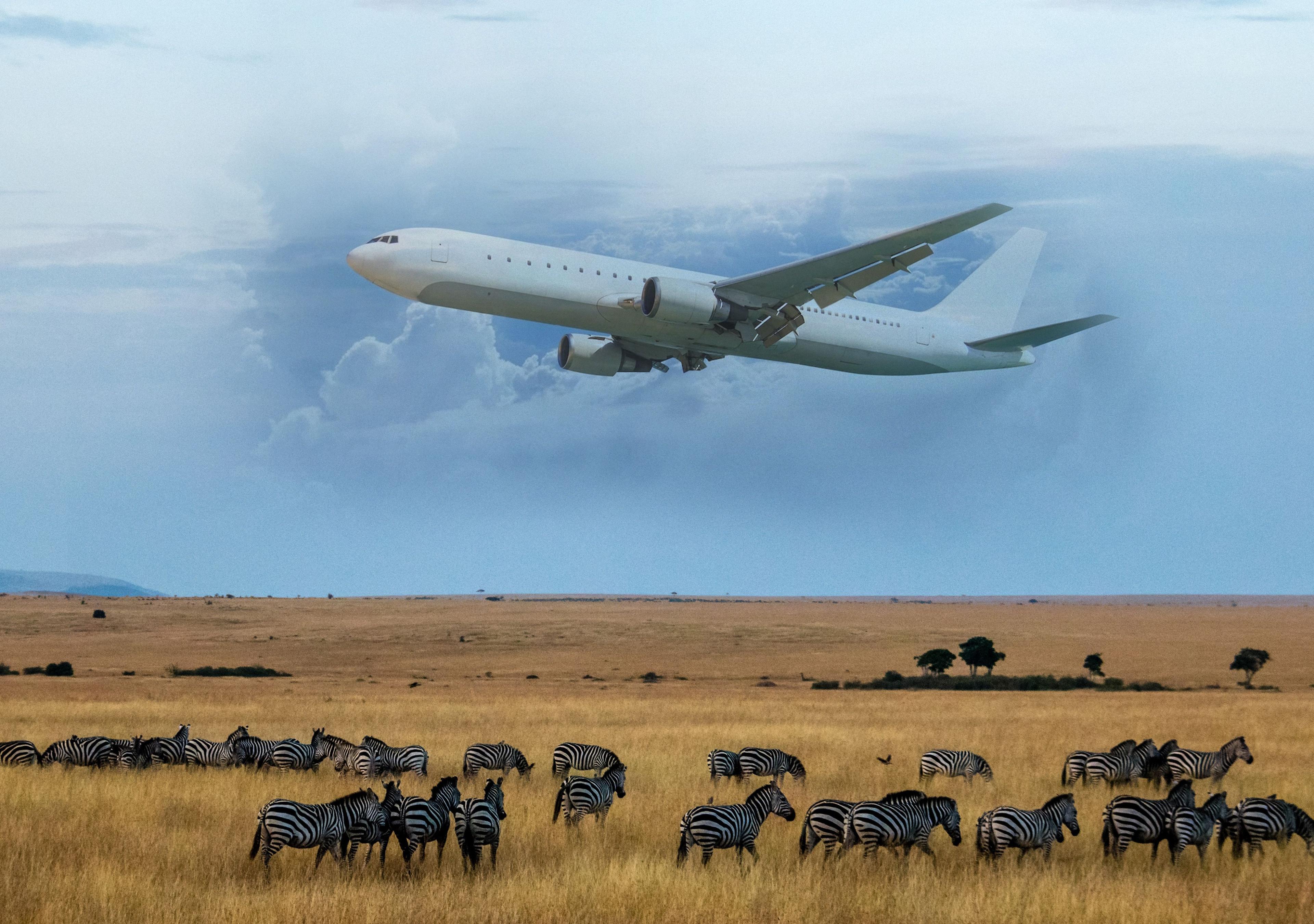 Cleaner air travel in Africa: Will a post-pandemic recovery herald greener skies for Africa's fleet?